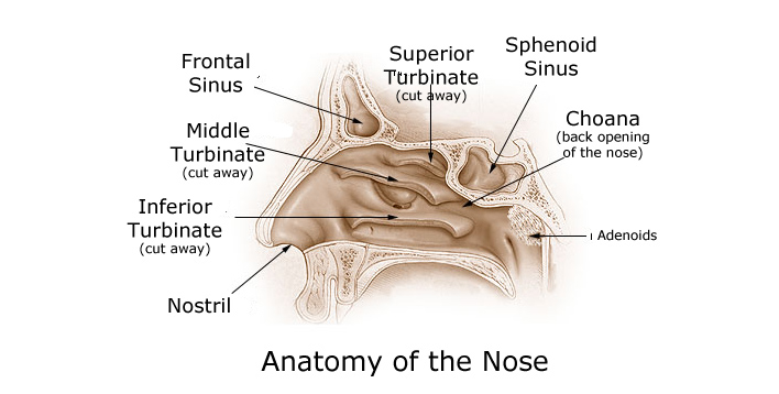 gotejamento nasal interno e tosse
